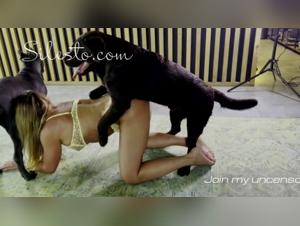 Watch Veronica Silesto in hard sex scenes with her dog