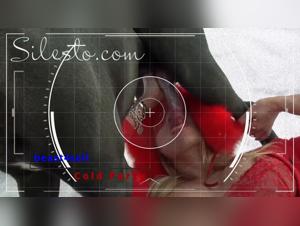 Bestiality Tube: Meet the Toughest Animals and Satisfy Your Wild Side