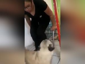 Vidéo de Sexe avec un Chien
