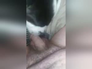 Discover the world of bestiality with our naughty dog