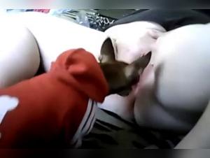 Watch this Slut Get Fucked by a Dog