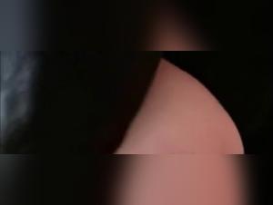 Vidéo de zoophilie hard et extrême