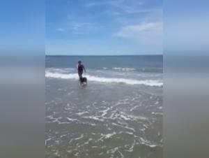 Bestiality video with Tine and a dog