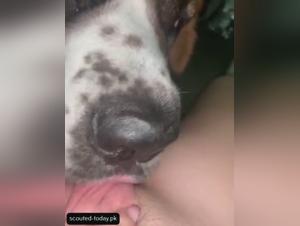 Adolescent submission, canine instinct