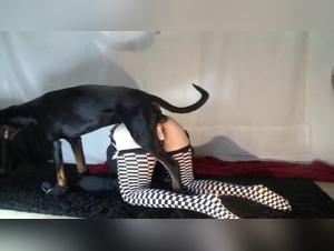 Hardcore Bestiality Scenes: Live the Experience