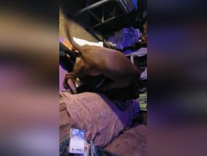 A Bestial and Intense Experience