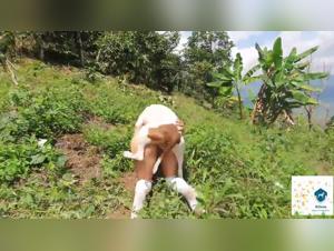 Experience the Incredible Moments with Lina