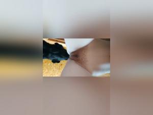 Bestiality Video: Discover the Extreme