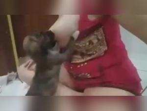 Intense zoophilia scene with a dog