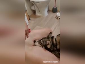 Dominanz Hunde, tierische Impulse