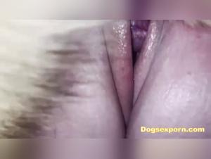 MILF dominierte, grosser Schwanz und Hund in verruckter Erotik