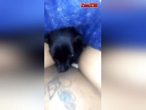 Una puttana ossessionata dal suo cane: esplora l'inferno delizioso