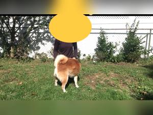 Bestiality Videos: Hot Animal Sex Tube