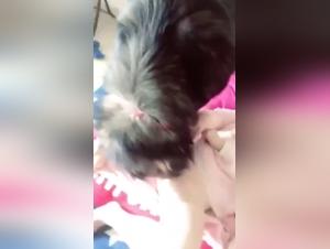 Bestiality sex scene with an Asian woman and her dog