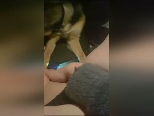 Bestialite salope : la baise avec chien