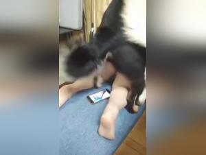 Potere canino, desiderio insaziabile, sottomissione estrema
