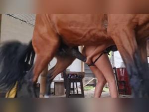 Whore Alison has sex with her dog