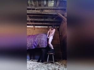 Extreme Sex Videos with Mares