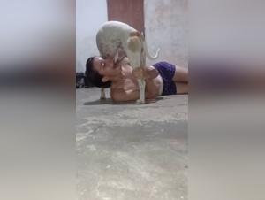 hund leckt artofzootography