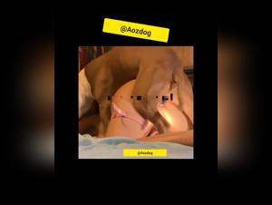 Esplorazione Bruta di un Desiderio Animale