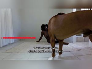 The Slut fucks her Dog Hardcore