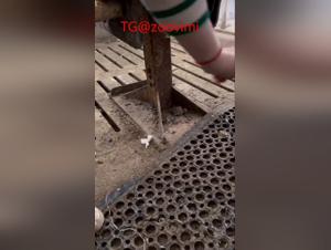 Tierische Genüsse