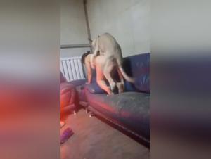 El perro esta fuckee por la lesbica