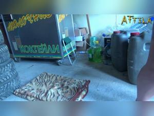 Dog Sex Video: Watch this Woman and her Dog in an Intimate Relationship