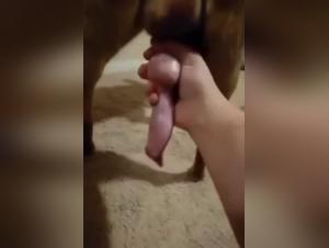 Extreme Exploration: The Wild Passion Between Woman and Dog