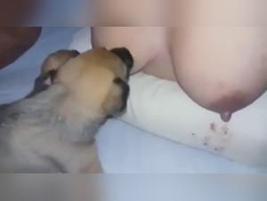 Extreme sex video with a woman and a dog