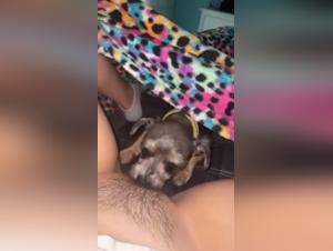 xxxzoo homemade beastiality