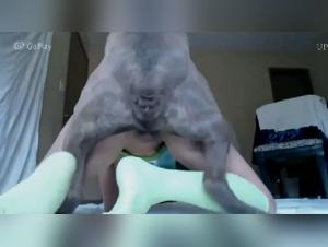 Intense Bestiality: A game of power and animal desire