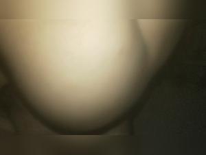 sguardo intimo nel mondo animale