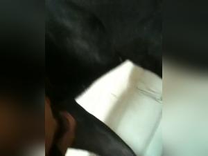 Bestiality sex video: an Asian woman and her dog