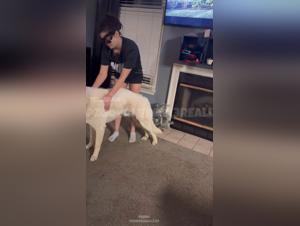 Unbridled desires: Discover the hottest dog fucking scenes