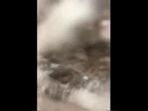 A Bestial and Extreme Sexual Experience