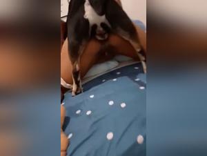 Potere canino, desiderio insaziabile