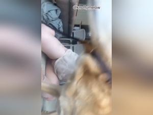 Exploring the Limits of Unhealthy Desire: Dog vs. Woman in a Hardcore Confrontation