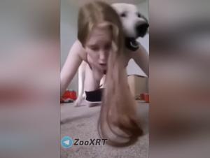 Violenza felina: la troia adolescenziale succede al suo cane