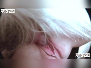 Exploring the Bonds of Bestiality