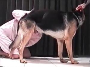Dominazione canina, scopata intensa e soffocamento delle delizie