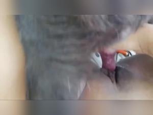 Zooskool: dove i confini si sfumano