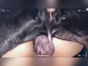 A young woman and her pitbull: A story of zoophilia and reggaeton music