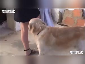 Die Animalitat der Leidenschaft