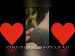 animal sexual violence, explore the prohibited pleasure