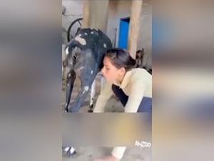 The relationship between woman and dog: a two-way love