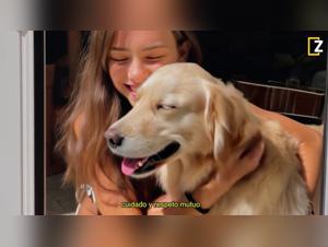 Sperimentare l'erotismo animale