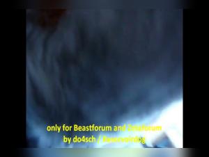 Bestiality sex videos featuring men and their faithful companion