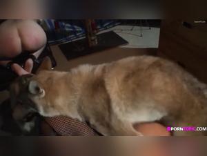 Exploring the Taboo World of Bestiality