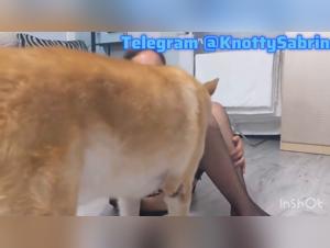 Homemade Zoophilia - Animal Deflowering and Fresh Sperm